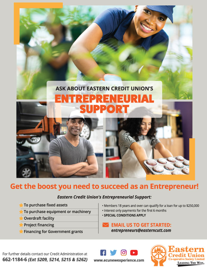 Entrepreneurial Support